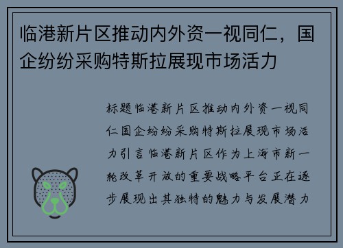 临港新片区推动内外资一视同仁，国企纷纷采购特斯拉展现市场活力